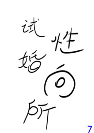 试婚的定义